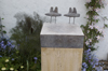 Square Birdbath